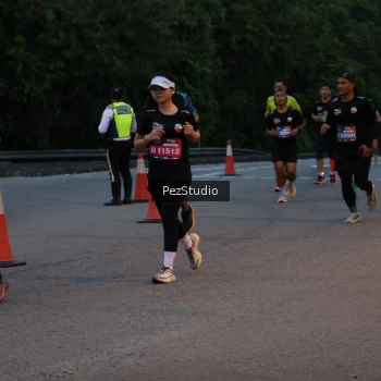 Runner Photo 3539547