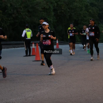 Runner Photo 3539550