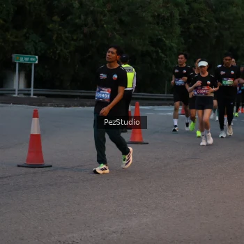 Runner Photo 3539551