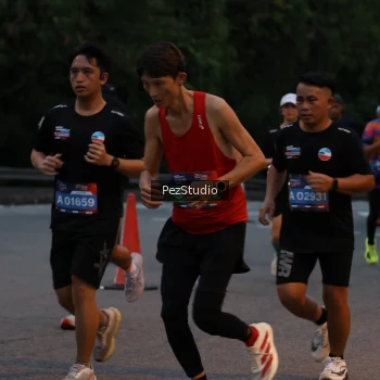 Runner Photo 3539553