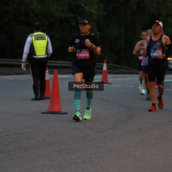 Runner Photo 3539561