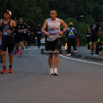 Runner Photo 3539562