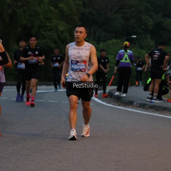 Runner Photo 3539563