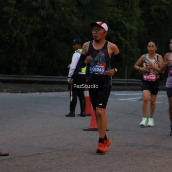 Runner Photo 3539567