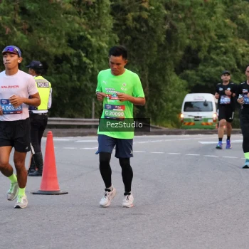 Runner Photo 3539582