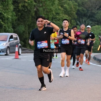 Runner Photo 3539584