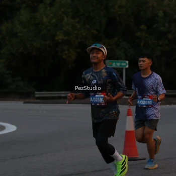 Runner Photo 3539593