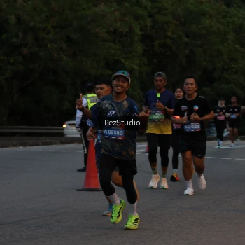 Runner Photo 3539594
