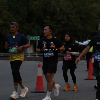 Runner Photo 3539597