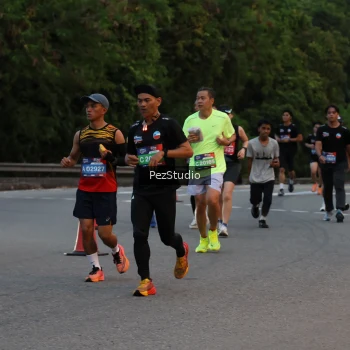 Runner Photo 3539609