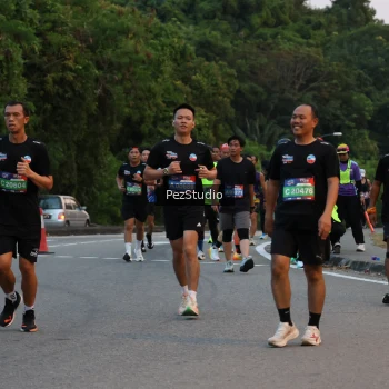 Runner Photo 3539611