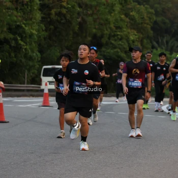 Runner Photo 3539622