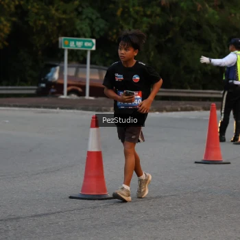 Runner Photo 3539623