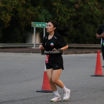 Runner Photo 3539626