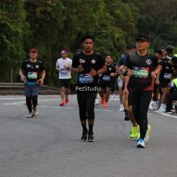Runner Photo 3539633
