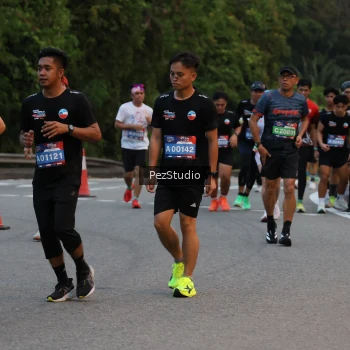 Runner Photo 3539634