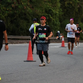 Runner Photo 3539637