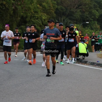 Runner Photo 3539638