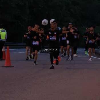 Runner Photo 3539646