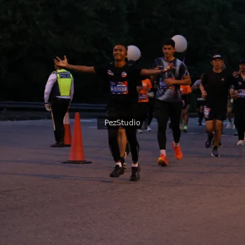 Runner Photo 3539648