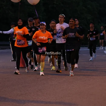 Runner Photo 3539650