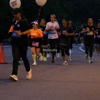 Runner Photo 3539651