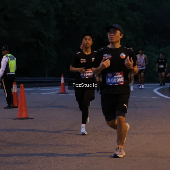 Runner Photo 3539656