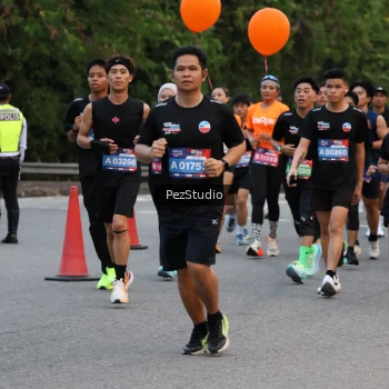Runner Photo 3539682