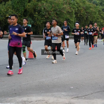 Runner Photo 3539691