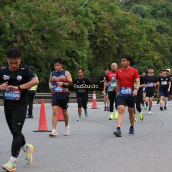 Runner Photo 3539695