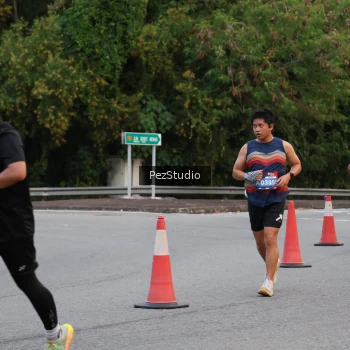 Runner Photo 3539697