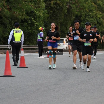 Runner Photo 3539710