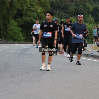 Runner Photo 3539735