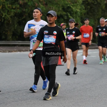 Runner Photo 3539741