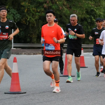 Runner Photo 3539743