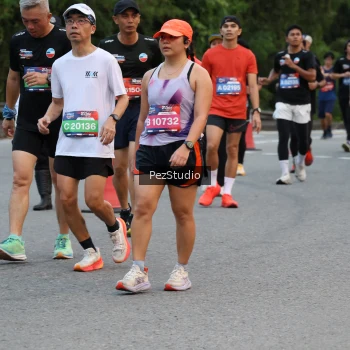 Runner Photo 3539744