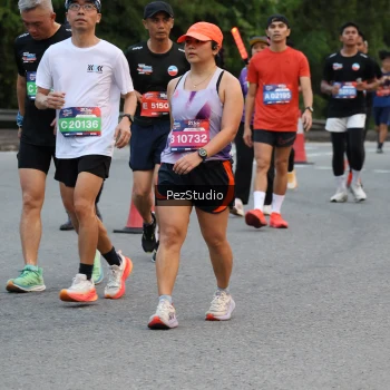 Runner Photo 3539747