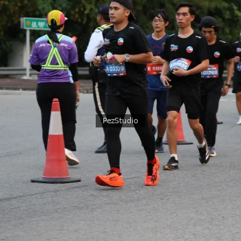 Runner Photo 3539752