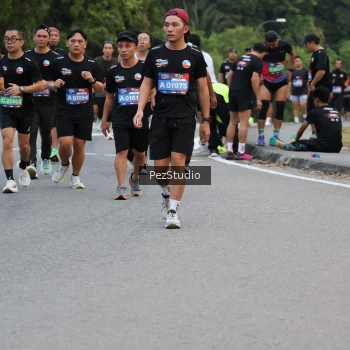 Runner Photo 3539771