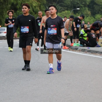 Runner Photo 3539799