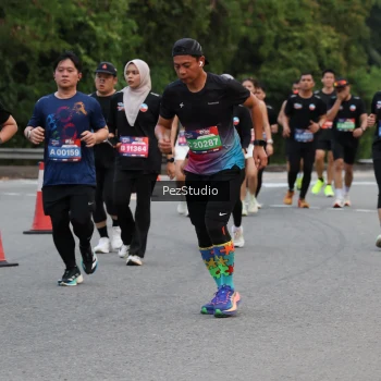Runner Photo 3539809