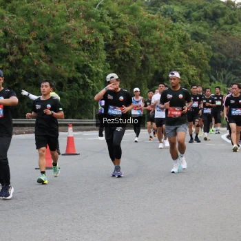 Runner Photo 3539838