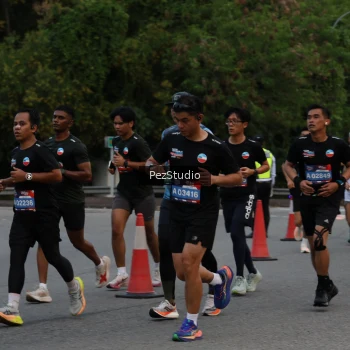Runner Photo 3539840