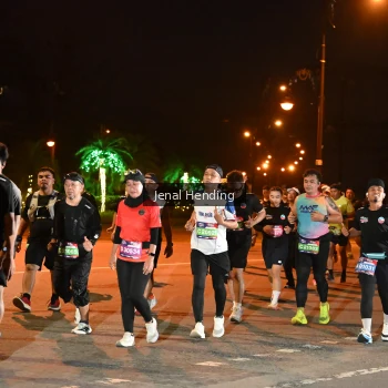 Runner Photo 3539856