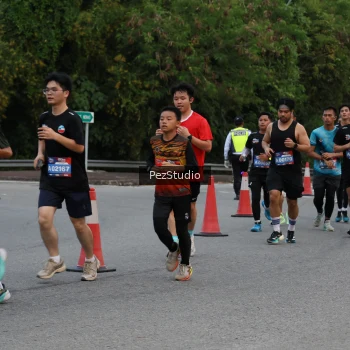 Runner Photo 3539887