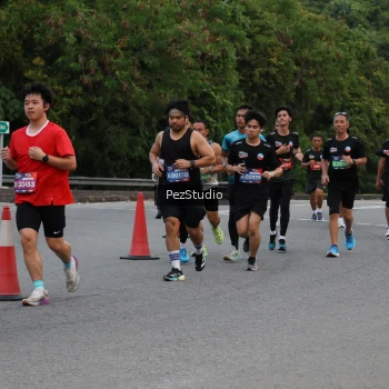 Runner Photo 3539889