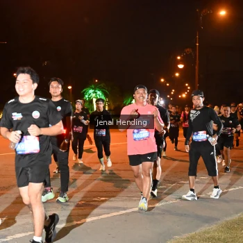 Runner Photo 3539900