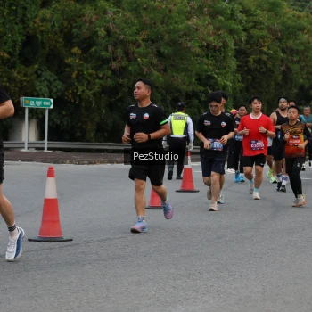 Runner Photo 3539920