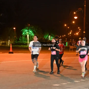 Runner Photo 3539922