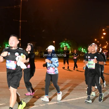 Runner Photo 3539967